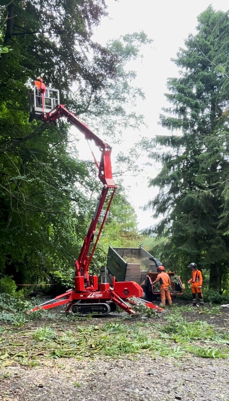 Commercial Services | Tree Beard Tree Surgery Ltd