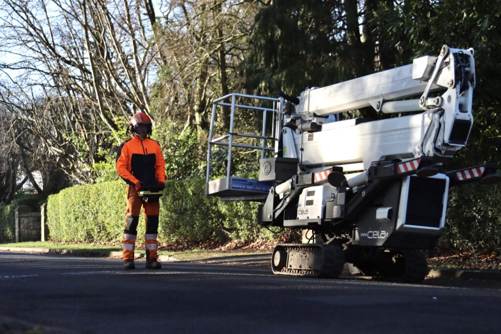 Our Blog | Tree Beard Tree Surgery Ltd